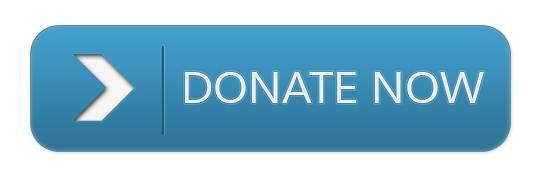 donate-button